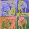 Thylacine Thylacine Thylacine - Single