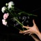 Chill Chill Michelle (feat. Suda Masaki) - Strange Reitaro lyrics