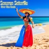 Sonoran Señorita (Remix) - Single