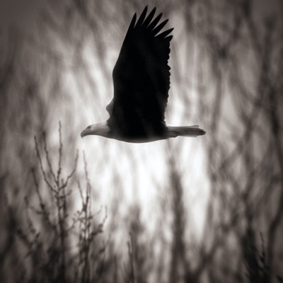 Jeremy Huddleston - Going Down