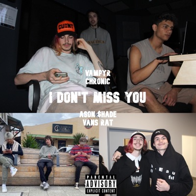 I Don't Miss You (feat. Chronic, Vansrat & Ason $hade) - Single