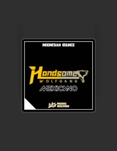 收听 DJ HANDSOME、观看音乐视频、阅读小传、查看巡演日期等 ！