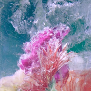 Plexiglass - EP