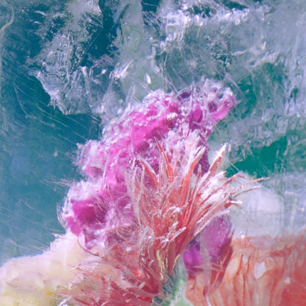 Plexiglass - EP