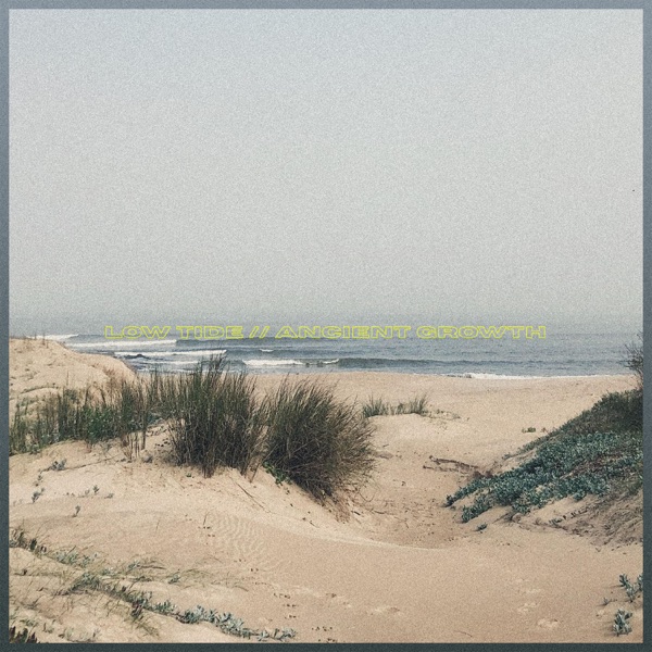 Low Tide // Ancient Growth (feat. Montane District) - Single