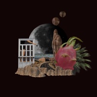 Claro de Luna - Single - Don Couto