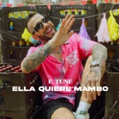 Ella Quiere Mambo artwork