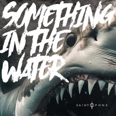 Something in the Water - Single