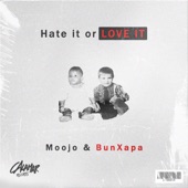 Hate It or Love It artwork