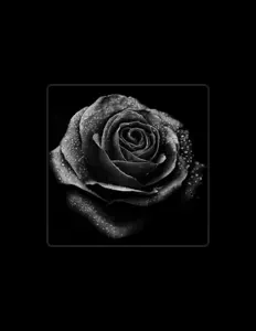 Listen to 478Swagg, watch music videos, read bio, see tour dates & more!