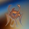 DoNotGoBackHome - CANDENTED lyrics