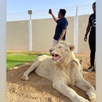 Mo Ni K'ejo - Single - Fricky J