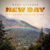 New Day (feat. Vaughn Sims) - Single