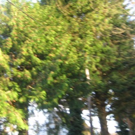 Atleast We Had Some Time To Share gutter