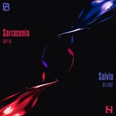 Sarracenia artwork