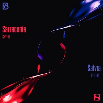 Sarracenia / Salvia - EP