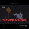 Never Know (feat. Koo) - Single