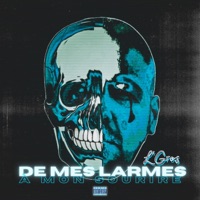 De mes larmes à mon sourire - L'Gros