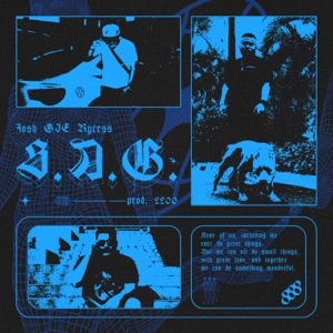 S.A.G.