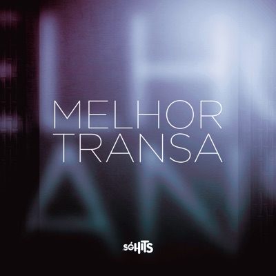 Melhor Transa (feat. DJ BR4 & DJ Karuso) - Single