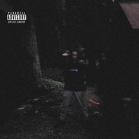 The Forest In the Mountains So Pure - Single - Broke 5ko