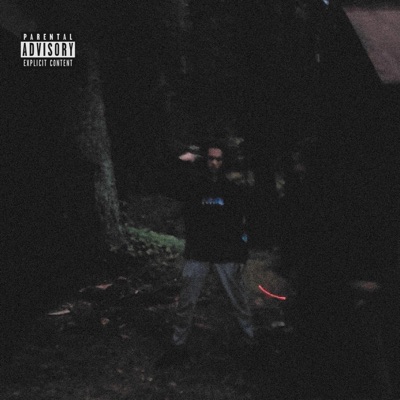 The Forest In the Mountains So Pure - Single
