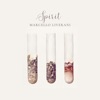 Spirit - Single