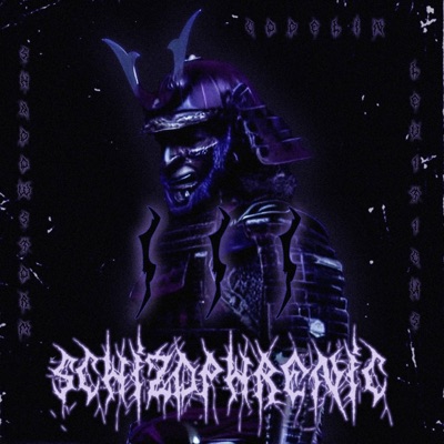 SCHIZOPHRENIC 3 (feat. ShadowStorm & Codelin) - Single