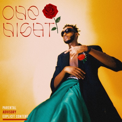 One Night - Single