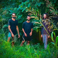 JABUTICÃBA: песни, клипы, биография, даты выступлений и многое другое.