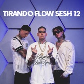 Tirando Flow Sesh #12 artwork