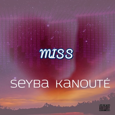 Seyba Kanouté - Miss