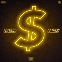Pricey - Single - Fl Loud