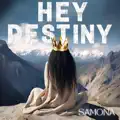 Hey Destiny