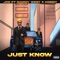 Just Know (feat. Sammy West & Hobbit) - J.C.D lyrics