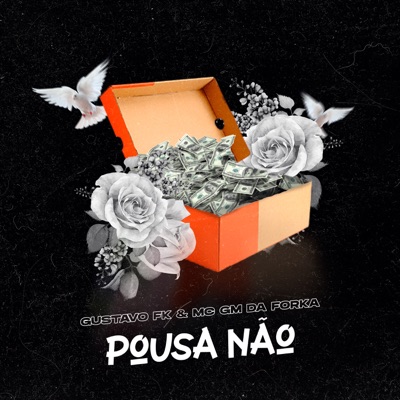 Pousa Não - Single