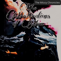 Bbg (Acoustic Version) - lil miccy