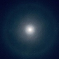 Mag - Single - Mind Machines