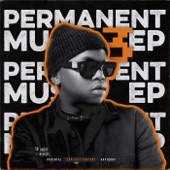 Permanent Music 3 artwork