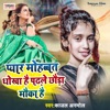 Pyar Mohhabat Dhokha Hai Padh Le Chhoura Mauka - Single