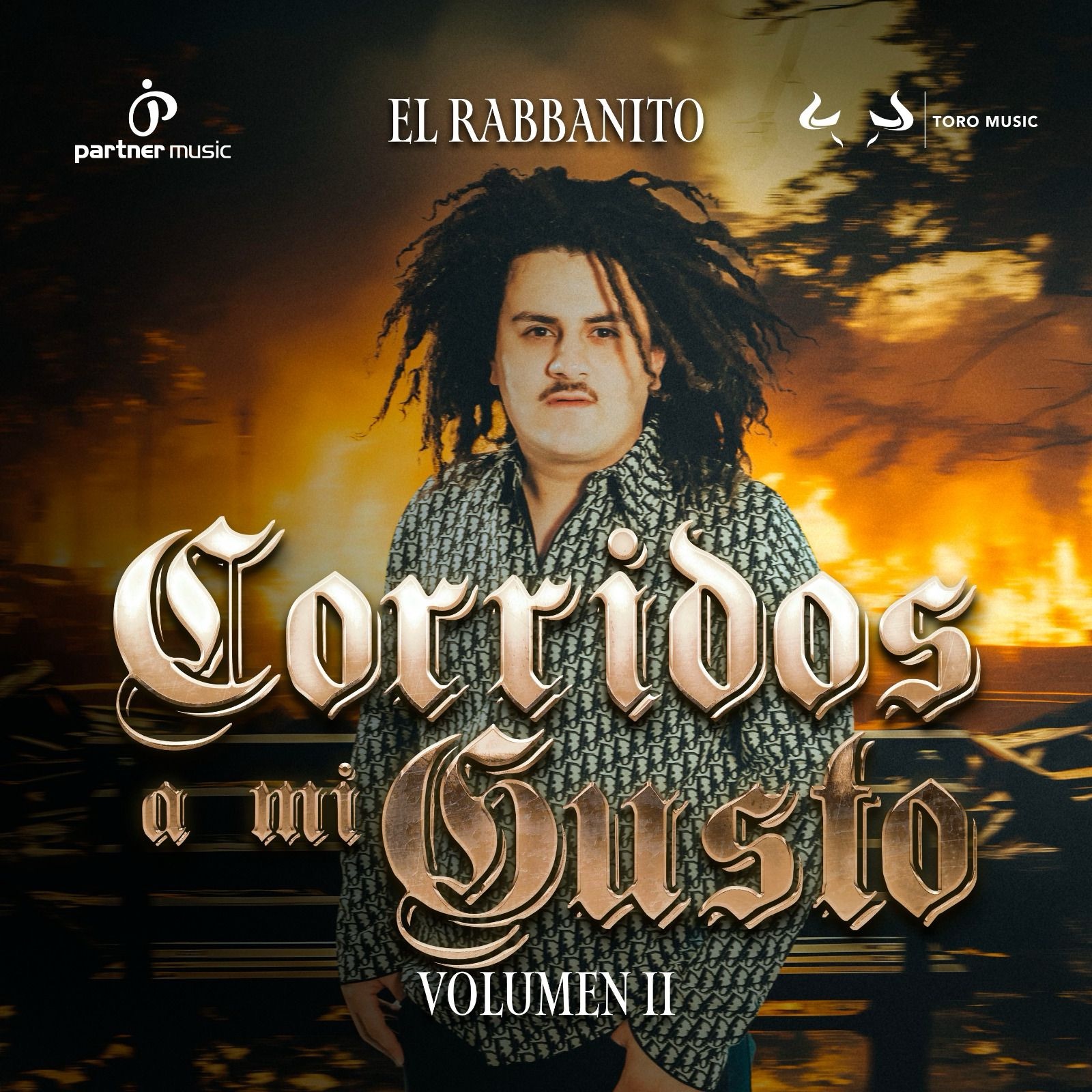 Corridos a Mi Gusto Vol 2