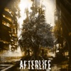 Afterlife - Single