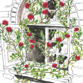 Flower Bed Joei Razook