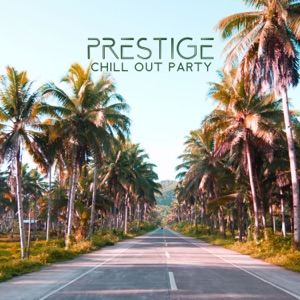 Prestige Chill Out Party: Sexy Party in the Club, Chill House Party