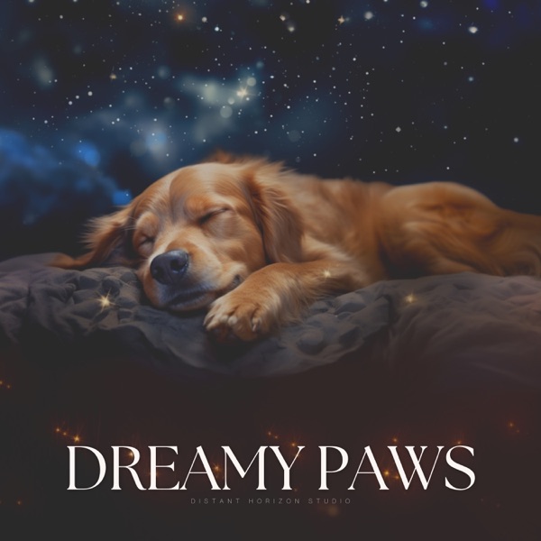 Dreamy Paws