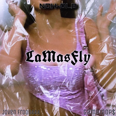 LaMasFly (feat. Joven Frodo444) - Single
