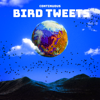 Birds Out - Continuous Bird Tweets