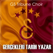 Gerçekleri Tarih Yazar artwork