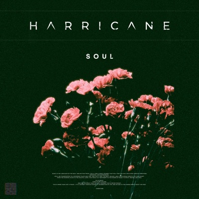 Soul - Single