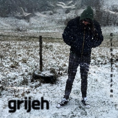 Grijeh (feat. Prodbyaspect & 80Root) - Single